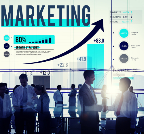 Growing Your Audience: The Essential 5-Step Content Marketing Strategy for Businesses
